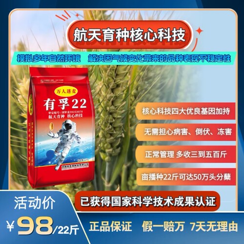 有孚22航天育种小麦种子