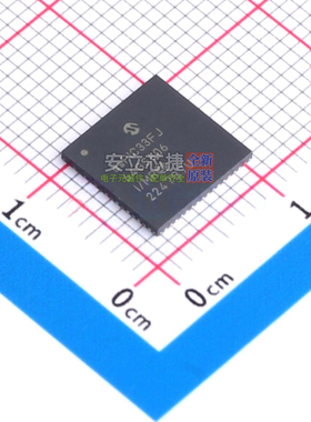 数字信号处理器(DSP/DSC) dsPIC33FJ64GS606-I/MR QFN-64 MICROCH