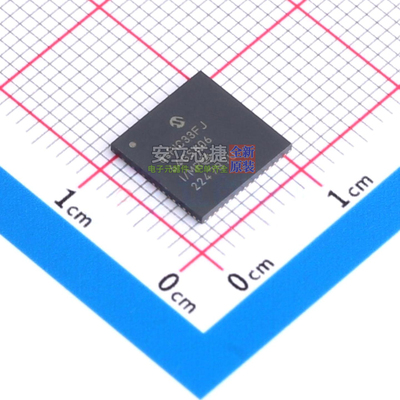 数字信号处理器(DSP/DSC) dsPIC33FJ64GS606-I/MR QFN-64 MICROCH