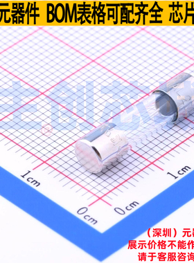 一次性保险丝 0217010.HXP D5.2xL20mm Littelfuse/力特 全新原装