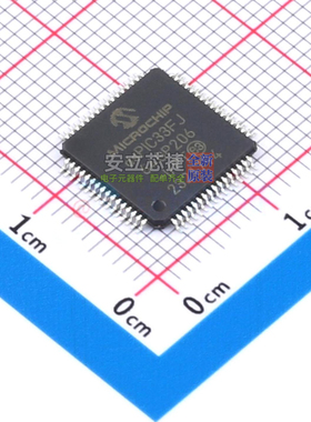 数字信号处理器(DSP/DSC) dsPIC33FJ64GP206-I/PT TQFP-64 MICROC