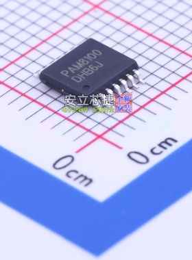 音频接口芯片 PAM8100RRR TSSOP-14 DIODES(美台) 电子元器件配单