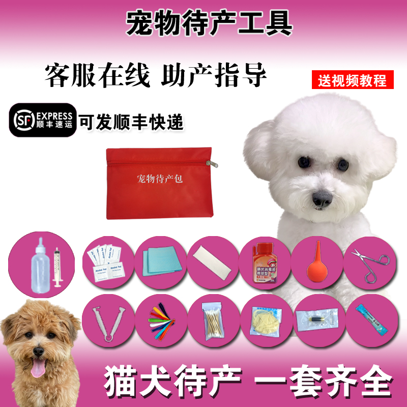 狗狗生产用品全套待产包接生工具宠物产房狸比熊泰迪生产繁育包