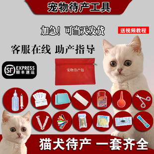 猫咪生产用品全套待产包接生工具生产包产房宠物小猫生产吸羊水器