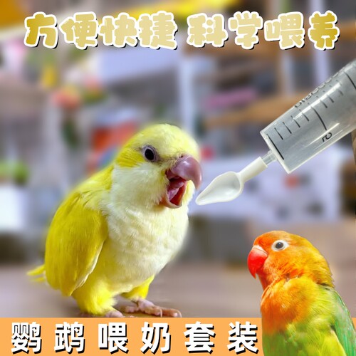 鹦鹉奶粉喂食工具小幼鸟喂奶器全套针筒量杯勺子虎皮牡丹雏鸟专用
