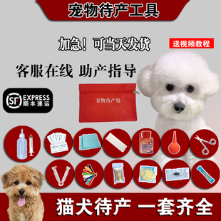 狗狗生产用品全套待产包接生工具生产包产房宠物狗狗生产吸羊水器