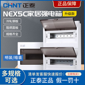 正泰回路箱家用强电箱NEX5-C