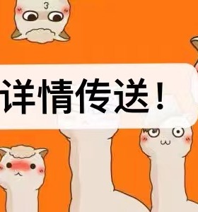 10.22日晚八点详情