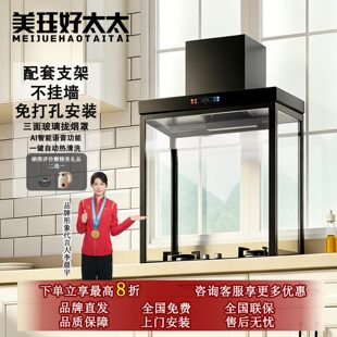 油烟机带支架不挂墙免打孔家用新款大吸力厨房立柜式