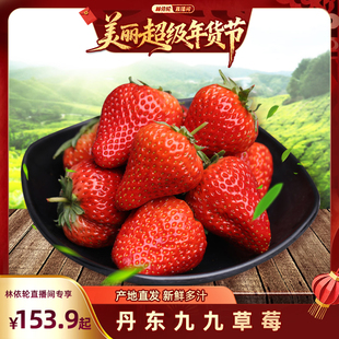 [林依轮直播间]正宗丹东99红颜草莓东港九九草莓新鲜采摘应季水果