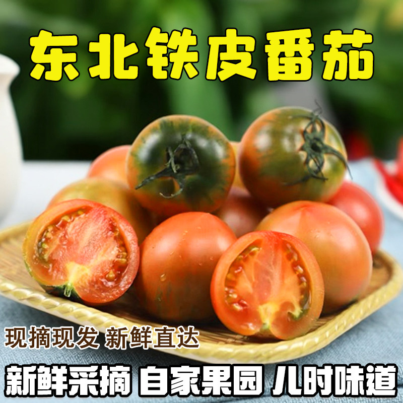 丹东正宗铁皮柿子绿腚柿子草莓柿子盘锦碱地生吃水果番茄新鲜包邮