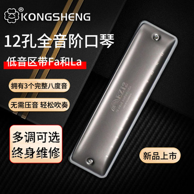 KONGSHENG孔声12孔EZ12全音阶初学布鲁斯口琴成人专业演奏级乐器