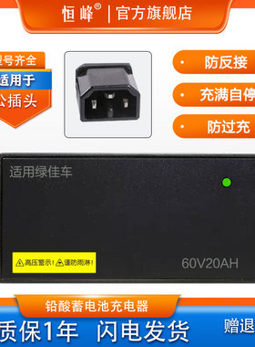 适配绿佳电动车充电器48V12AH20A60V20AH72V32AH55AH专用原装公插