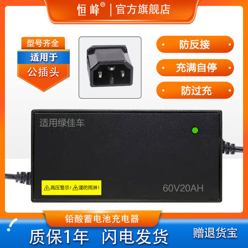 适配绿佳电动车充电器48V12AH20A60V20AH72V32AH55AH专用原装公插