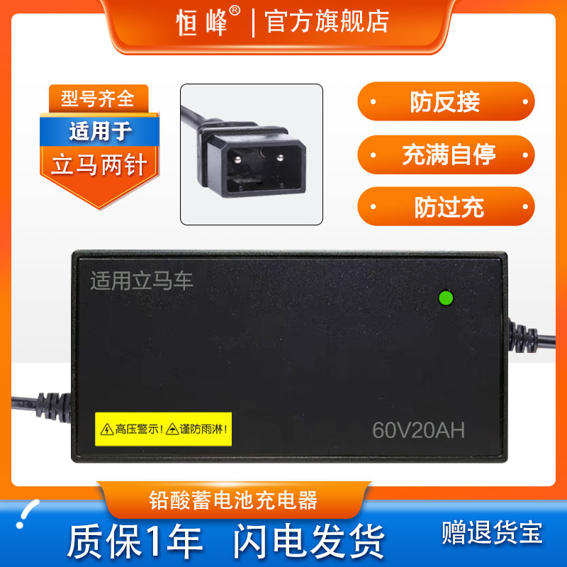 适用立马车电动车充电器两孔接口