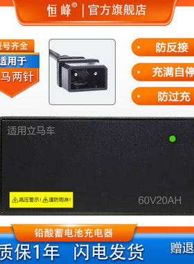 适配立马电动车充电器两孔反插48V12A60V20AH72V30A96V32原装接口