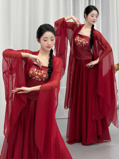 古典舞蹈服装古风大摆裙练功演出服飘逸开衫上衣长款红色纱衣飘逸