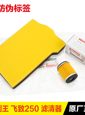 原装正品雅马哈摩托车天剑王飞致JYM YBR YS250机滤空滤机油滤芯