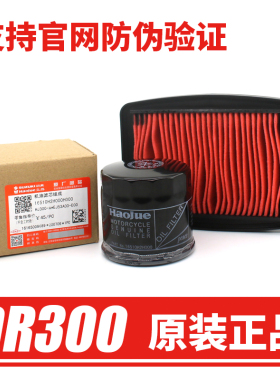 适用豪爵原装摩托车DR250 TR300 XCR机滤空滤机油格空气滤芯原厂