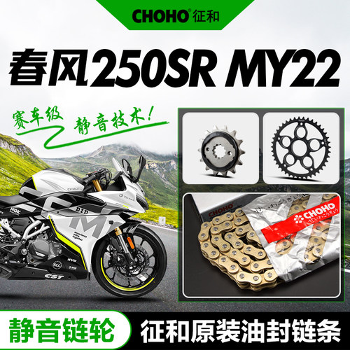 春风250SRMY22征和油封链条