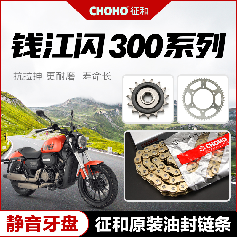 QJMOTOR钱江闪300 QJ300-12A原厂大小牙盘链轮链盘征和油封链链条 摩托车/装备/配件 链条 原图主图