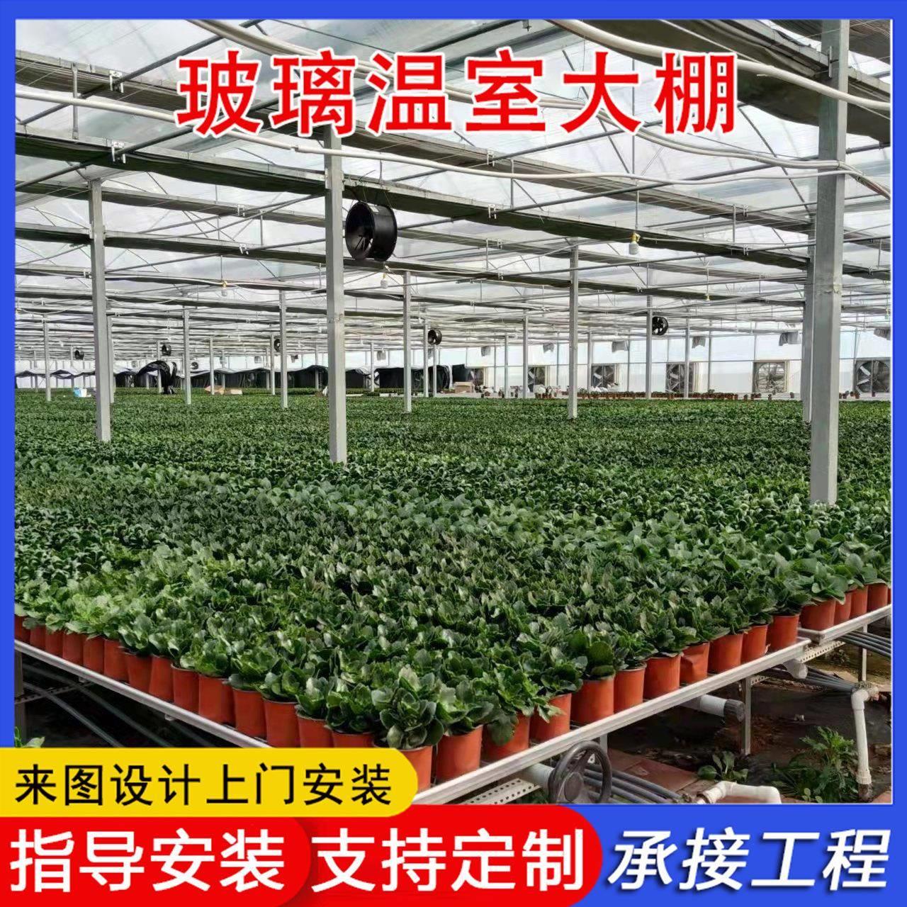 玻璃温室大棚建造安装 连栋玻璃温室花卉育苗种植大棚 来图设计
