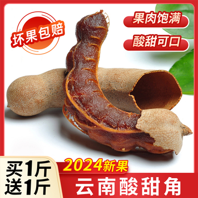 活动价新鲜野生大酸甜角孕妇可食