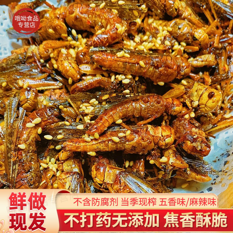 24年新貨油炸大螞蚱山東燒烤小吃