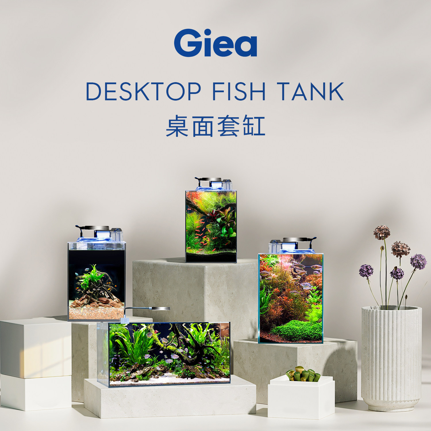 睿美心造高逸桌面鱼缸LED灯静音过滤高透白玻璃方形缸办公室送礼,宠物/宠物食品及用品,桌面缸,淘宝优惠券,粉丝福利购,淘宝优惠卷