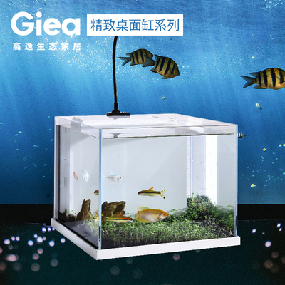 桌面缸生态鱼缸草缸系统缸养鱼乌龟缸办公室小型创意水族箱免换水