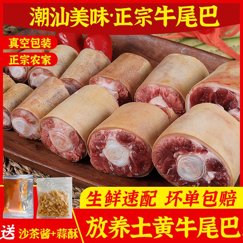 农家新鲜现杀带皮黄牛尾巴新鲜牛尾巴生牛尾巴牛尾骨青草牛尾
