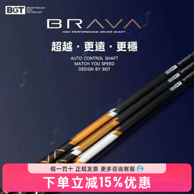 STABILITYBRAVA一号木杆身