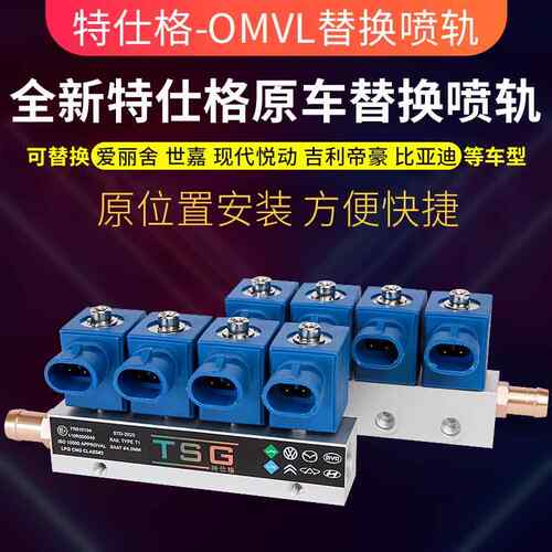 CNG天然气喷轨NT401原装OMVL伊兰特雪铁龙出租汽车改装共轨配件