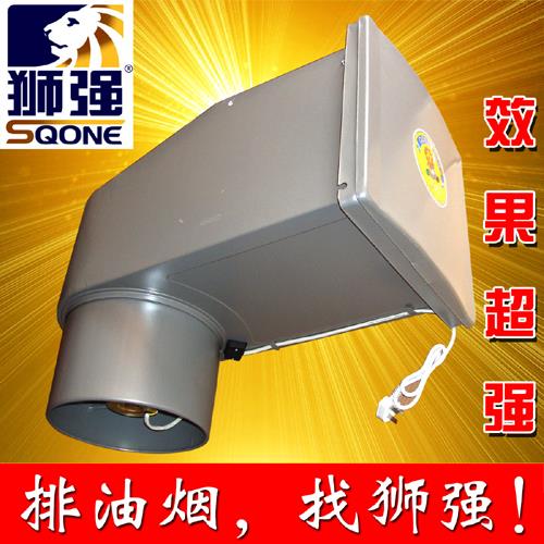 狮强S1001A厨房排气扇家用换气扇强力家用排风扇10寸静音抽油烟机饰品