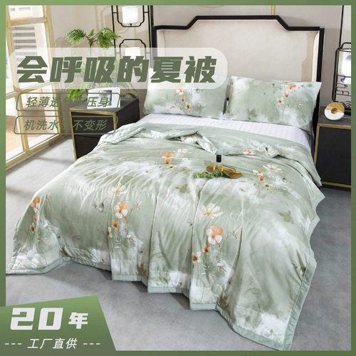 夏季水洗冰丝国风印花空调被凉感丝薄款夏凉被可机洗被子凉爽