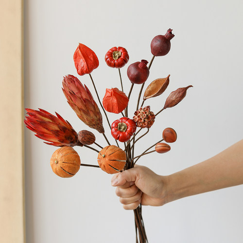 进口果实种子干花组合插花装饰