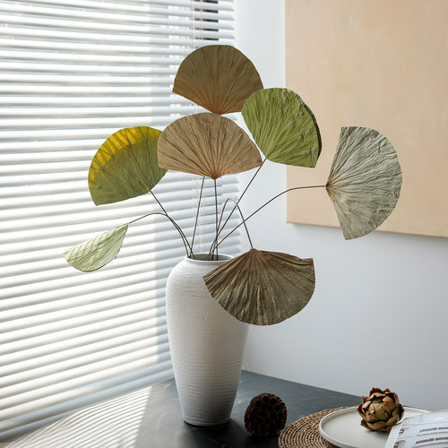 天然真干荷叶侘寂风禅意干花插花