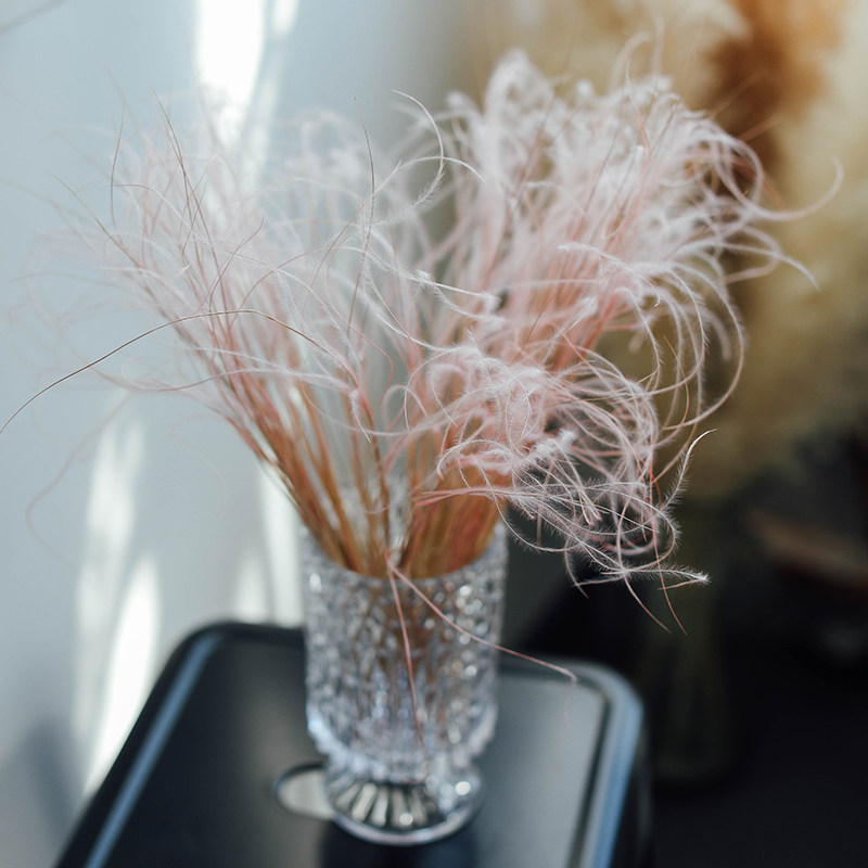 进口墨西哥羽毛草高级干花真花侘寂风日式浪漫布置餐桌花摆花高端