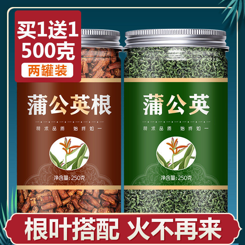 蒲公英叶茶浦公英整根正品特级野生新鲜干通乳腺女性散结中草药材