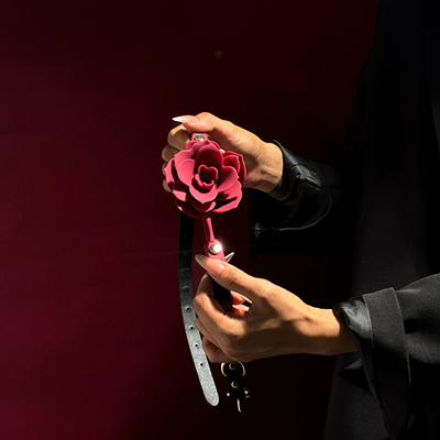 玫瑰花口塞球防吐可爱小玩具