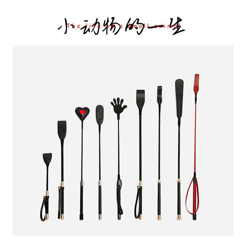 sp工具马鞭系列小动物的一生
