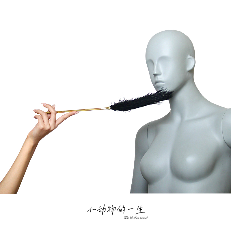 羽毛棒挑逗鸡毛棍鞭子情调女用拍打惩罚开发情侣小玩具