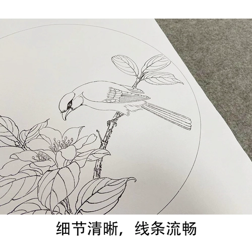 [Нет шагов] Dai Qingchi Gongbi Painting Baihua Draft Torch Poor Curmine Birds Набор из четырех новичков, копия, оригинальный большой размер 35*35 см линии цветов и птиц TD05