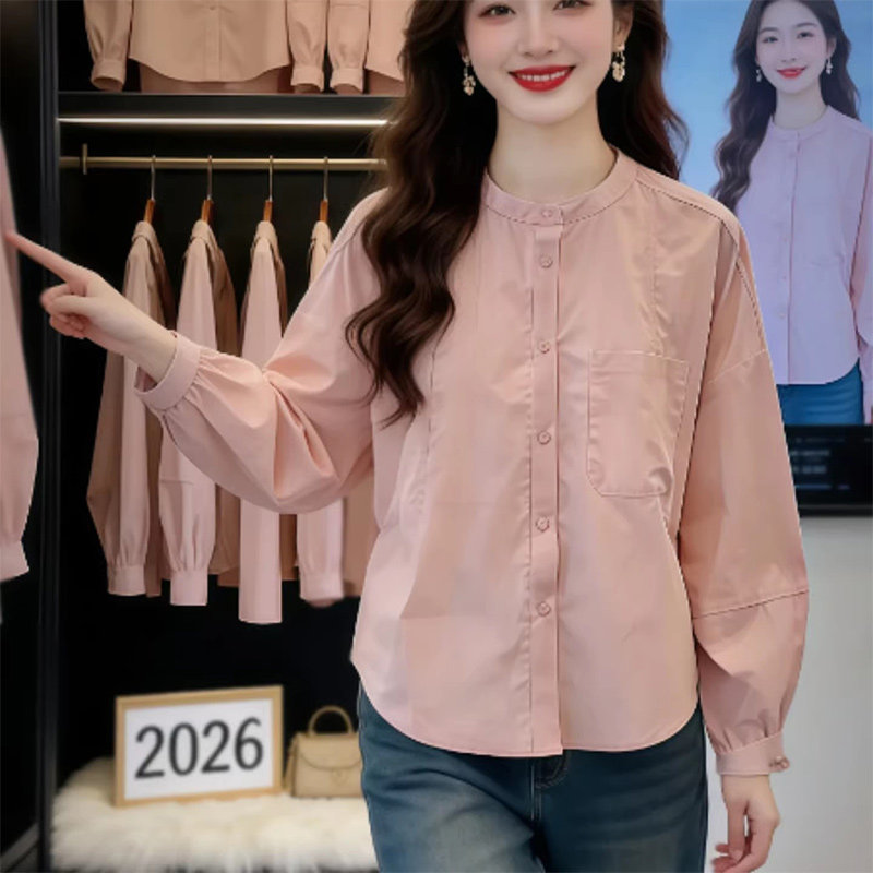 法式独特别致灯笼袖衬衫女2026春秋款设计感宽松休闲气质薄款衬衣