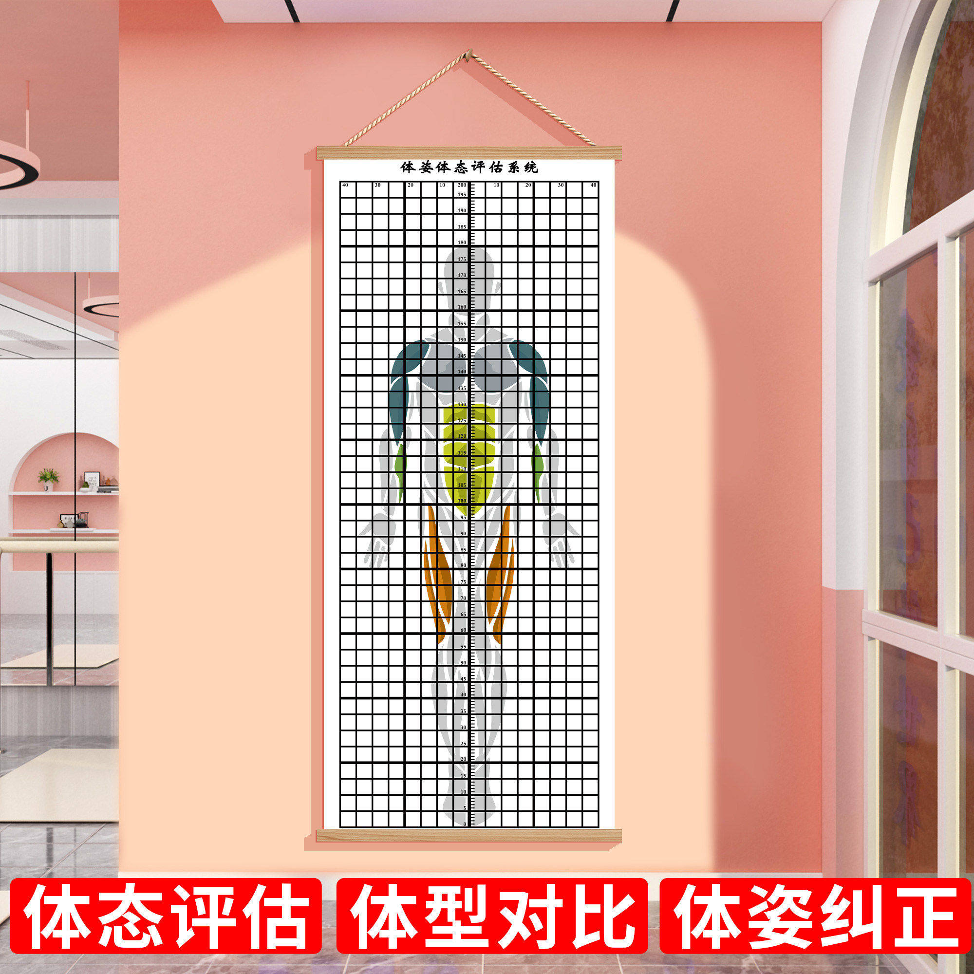 体态评估表墙贴纸体测式健身房瑜伽馆私教身体形姿矫正网格对比图
