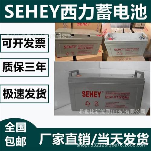 SEHEY西力蓄电池12V38AH12V6H12V100AH12V120AH12V200AH