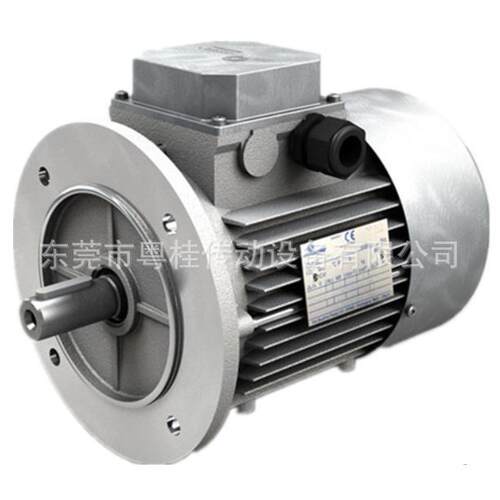 现货MOTOVARIO摩多利三相异步刹车电机T100LB24KWB3/B5/B14