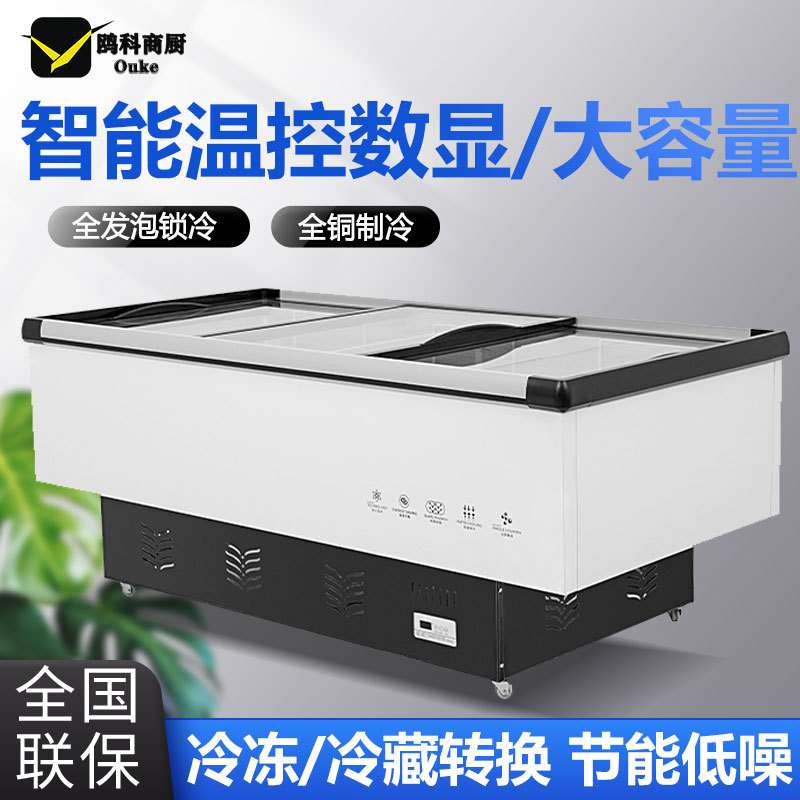 冰柜商用大容量冷柜冰箱冷藏展示柜保鲜冷冻两用岛柜卧式玻璃雪柜