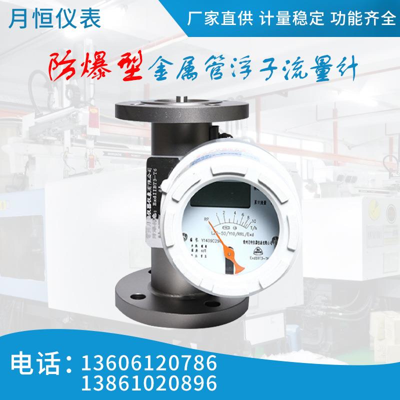 防爆型金属管浮子流量计气体/液体流量计转子流量计