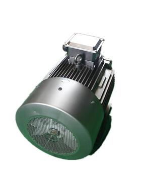 鸿泰一级能效电机TCYP5-160M-6t7.5KWt380V绝缘等级F级 安全可靠